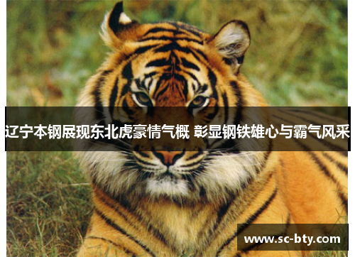 辽宁本钢展现东北虎豪情气概 彰显钢铁雄心与霸气风采 辽宁本钢展现东北虎豪情气概 彰显钢铁雄心与霸气风采